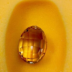 Swarovski SCS Golden Egg